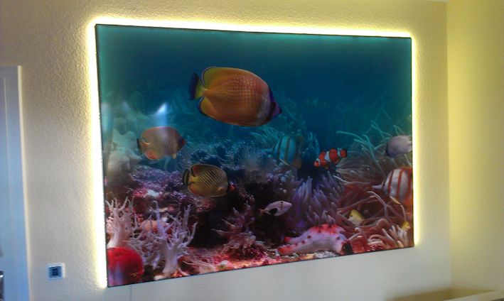 Spanndeckenshop24 - Spanndecken im Shop günstig kaufen